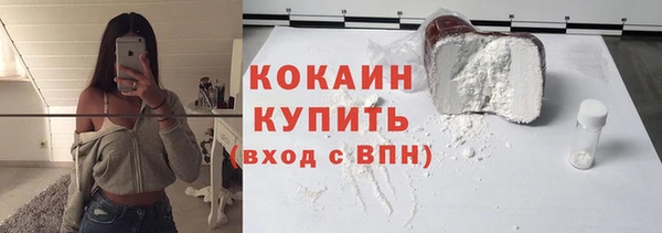 прущие грибы Переславль-Залесский