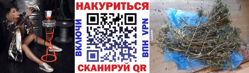 цены   Западная Двина  Каннабис MAZAR 
